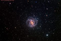 M 83 R GAIN 250