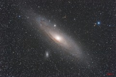 m31